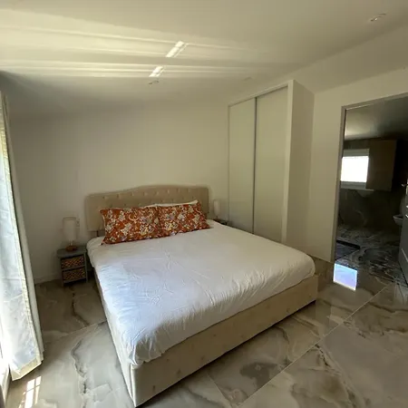 Duplex Oliveraie Piscine Au Sel Marin Et Parking Nice