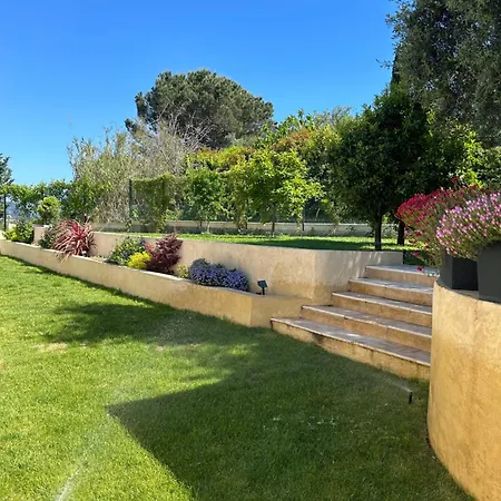 Duplex Oliveraie Piscine Au Sel Marin Et Parking Apartment Nice