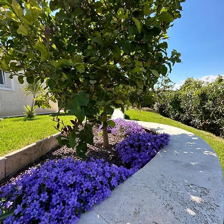 Duplex Oliveraie Piscine Au Sel Marin Et Parking * Nice