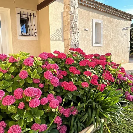Duplex Oliveraie Piscine Au Sel Marin Et Parking Apartment Nice