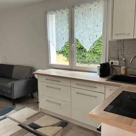 Duplex Oliveraie Piscine Au Sel Marin Et Parking Apartment Nice